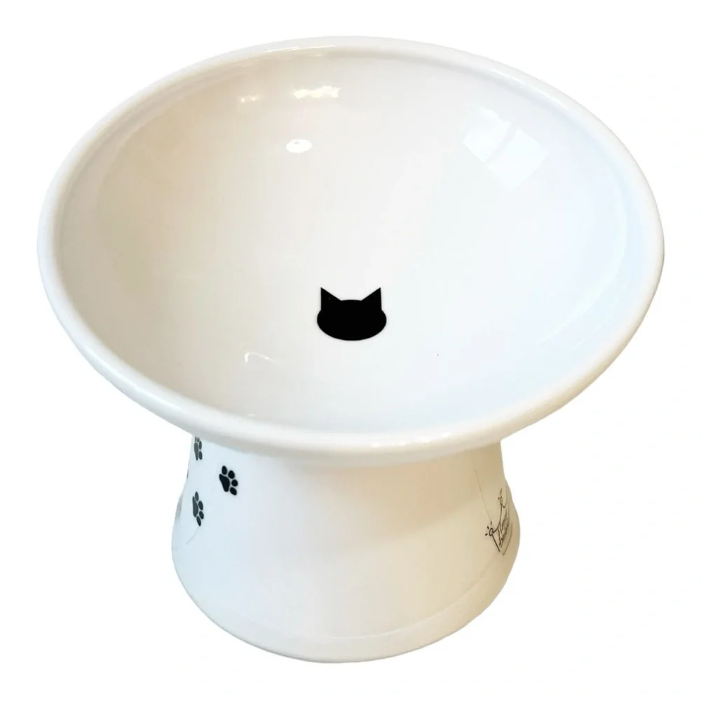 Raised Tilted Ergonomic Cat Feeder Bowl White